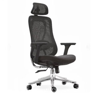 Chaise de Direction - 216